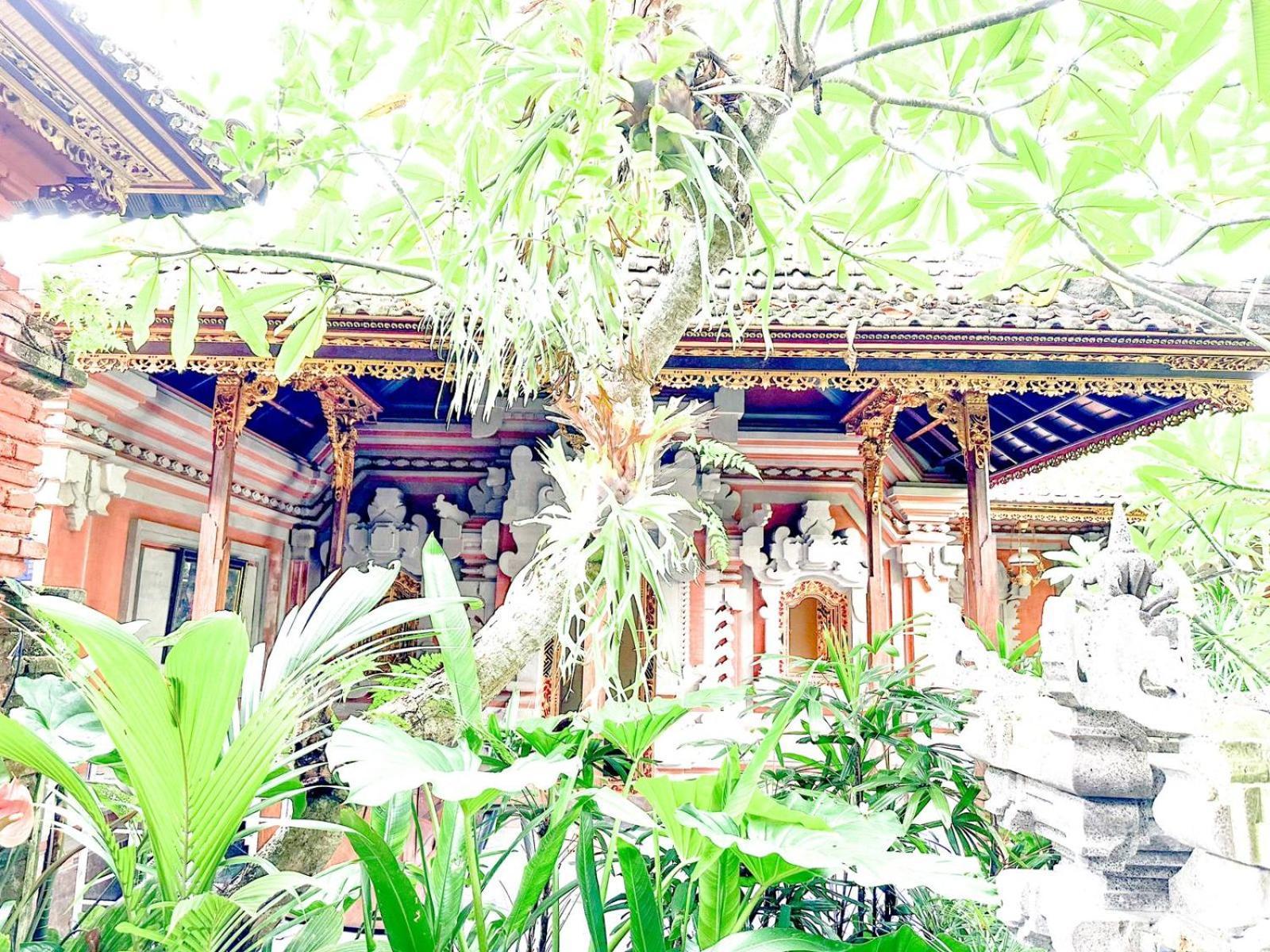 Ojek'S Homestay Ubud Oda fotoğraf